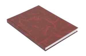 Книга обліку А4, тверда обкладинка Buromax бумвініл, 96 аркуша, клітинка - фото 1