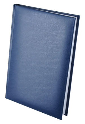Щоденник недатований Buromax А5 синій - фото 1