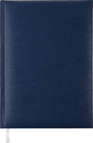 Щоденник недатований EXPERT, A5, синій - фото 1