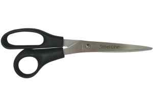 Ножиці офісні 20 см. Economix, з пластиковими ручками - фото 1