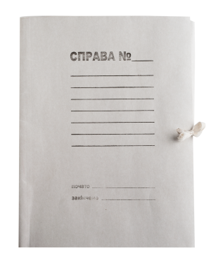 Папка на завязках картонная А4, 0,30 мм, 10 шт. Украина - фото 1